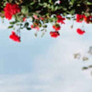 Meet your Posher, Zack